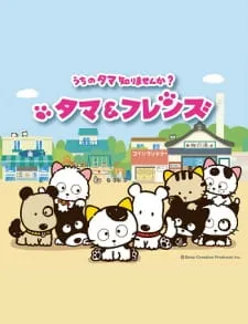 دانلود انیمه Tama & Friends: Uchi no Tama Shirimasen ka? با کیفیت بالا به صورت سافت ساب با پخش آنلاین