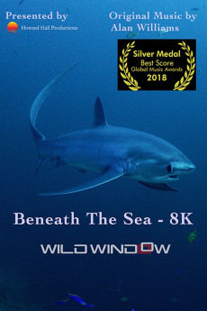 دانلود فیلم Wild Window: Beneath the Sea