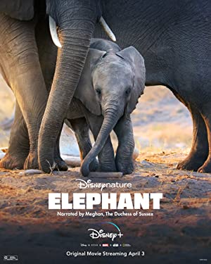 دانلود فیلم Elephant