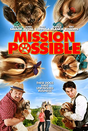 دانلود فیلم Mission Possible