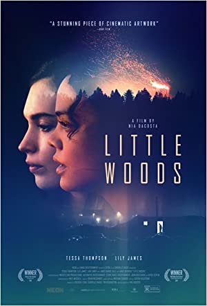 دانلود فیلم Little Woods