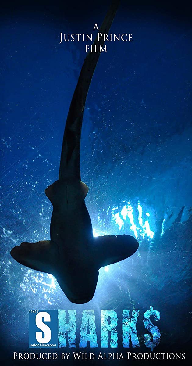 دانلود فیلم Shark$: The Scientific & Economic Impact of Sharks in Florida