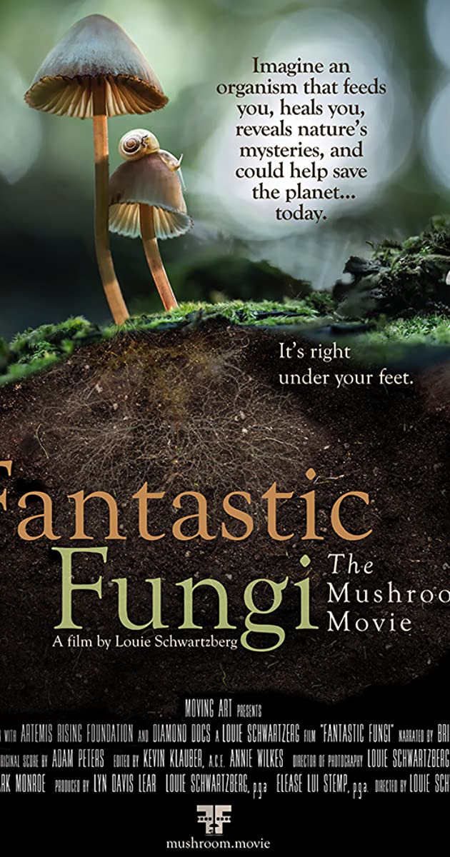دانلود فیلم Fantastic Fungi