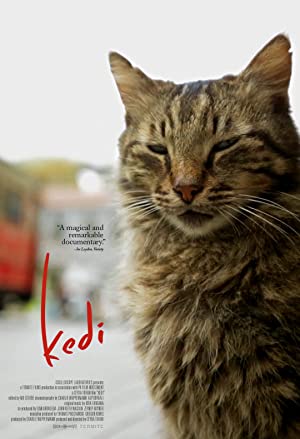 دانلود فیلم Kedi